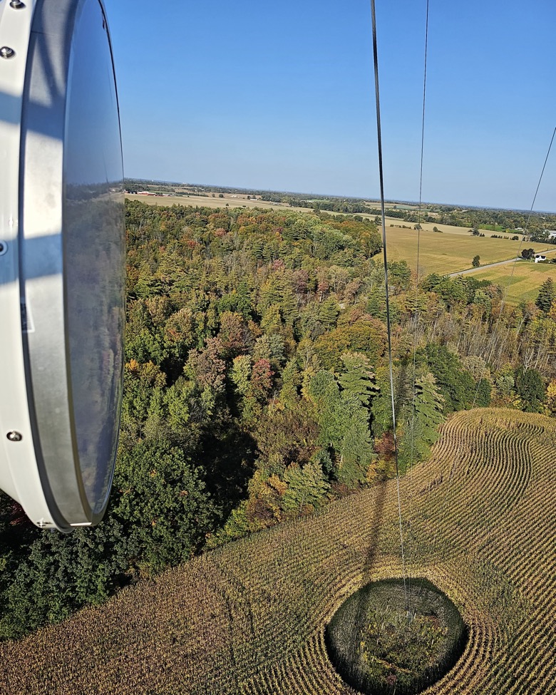 photo of a wireless communications tower
